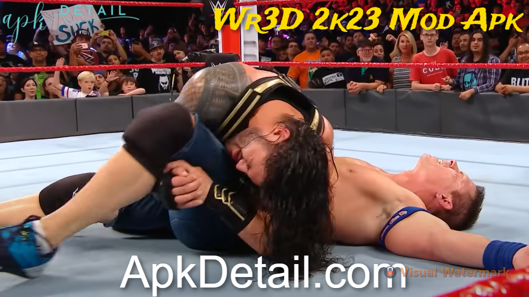 WR3D 2K23 Mod Apk Download For Android with Commentary