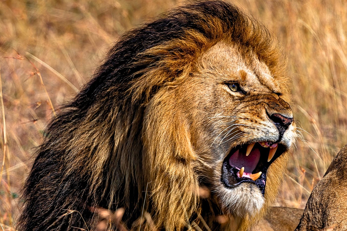 Photo: Jonathan Growcott et al. “Leave now!”