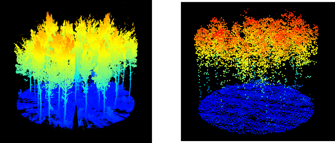 3D point clouds of the same forested area obtained using terrestrial (left) and airborne (right) LiDAR. We note that terrestrial LiDAR is the most accurate. (Image by the author)