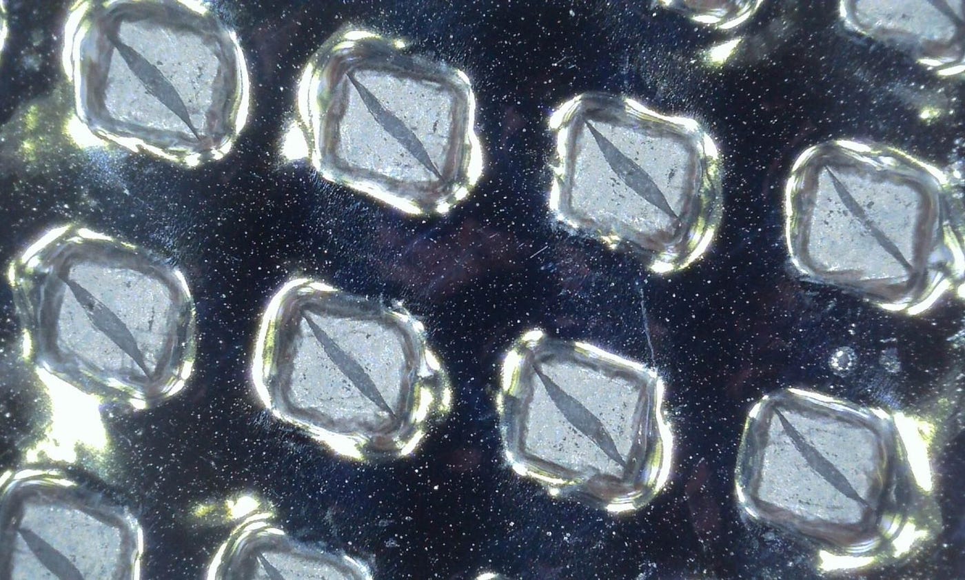 TLX Cargo develops solar barrier fabric SOLARAP