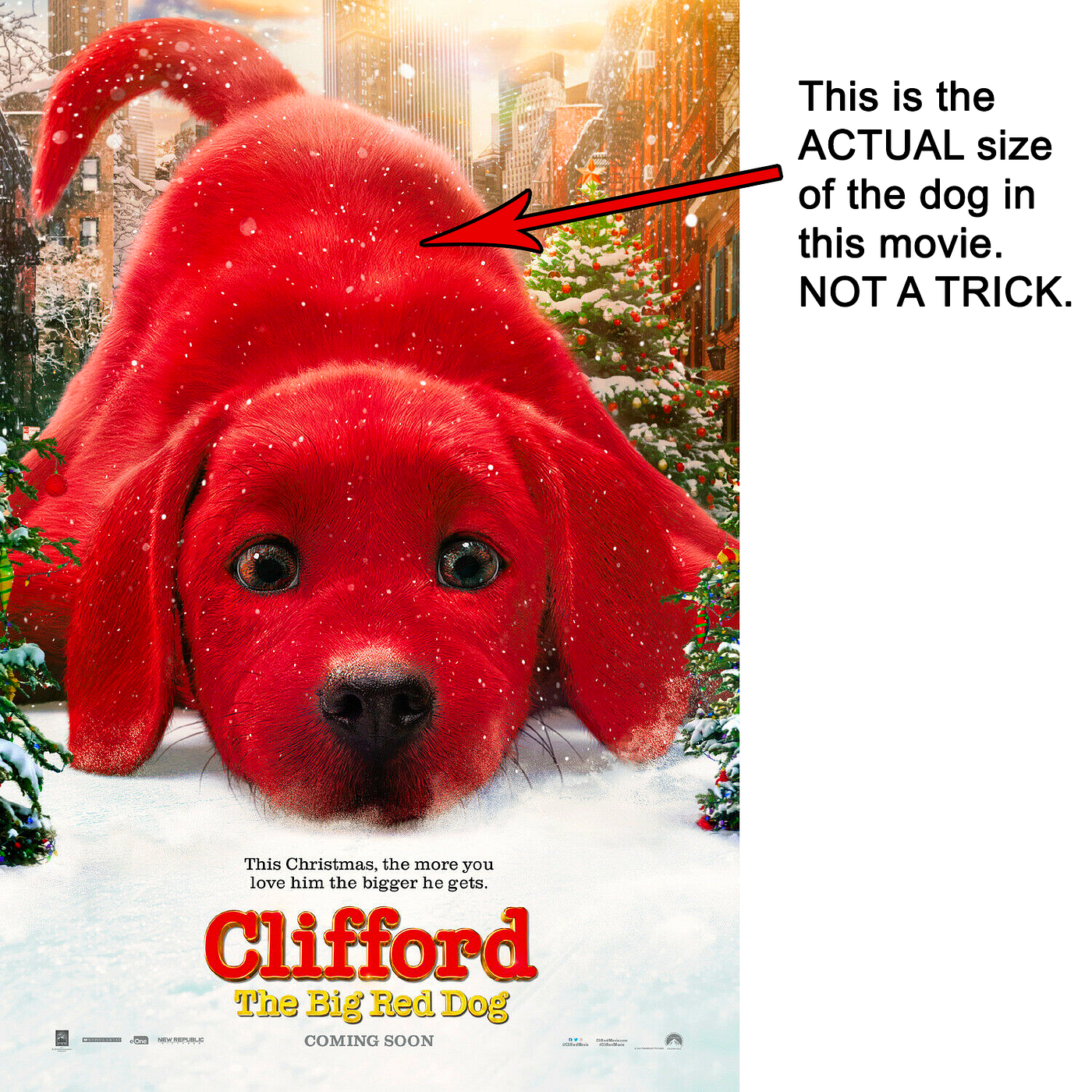 Clifford the Big Red Dog Review