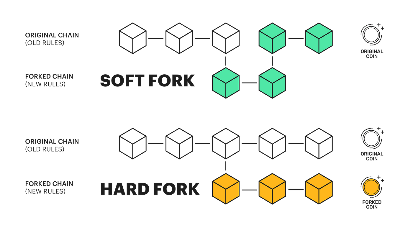 Blockchain Forks: What are they and why do they happen? | by Chi akibo |  Medium