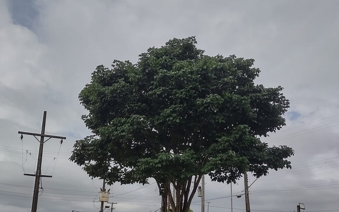 Ensaio (para) SESI(ar)