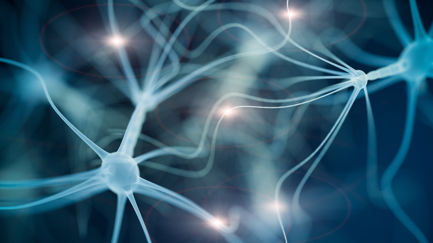 Life Wave Patches: Your Path to Wellness in 2025