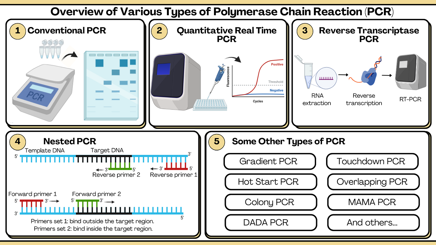 Overview of Types of PCR