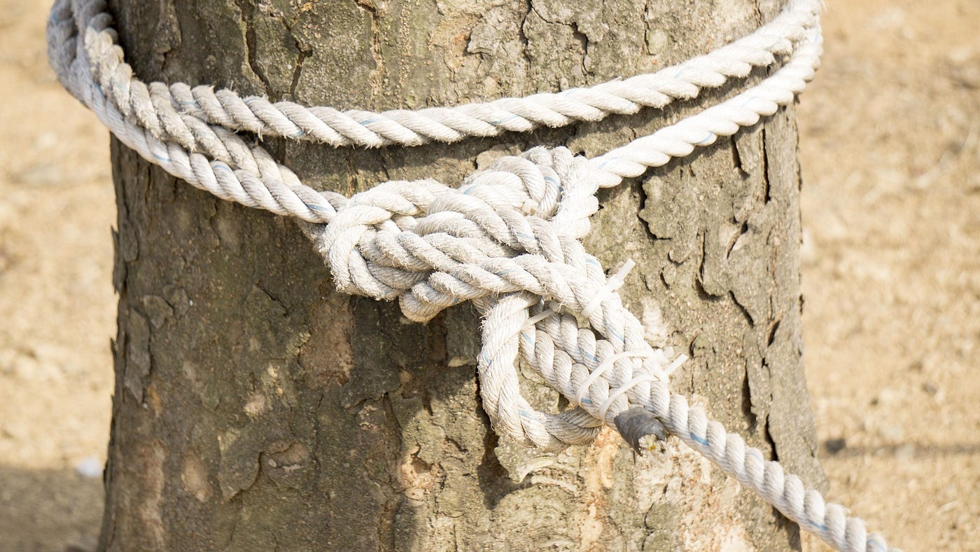 Wounds #EnglishClass