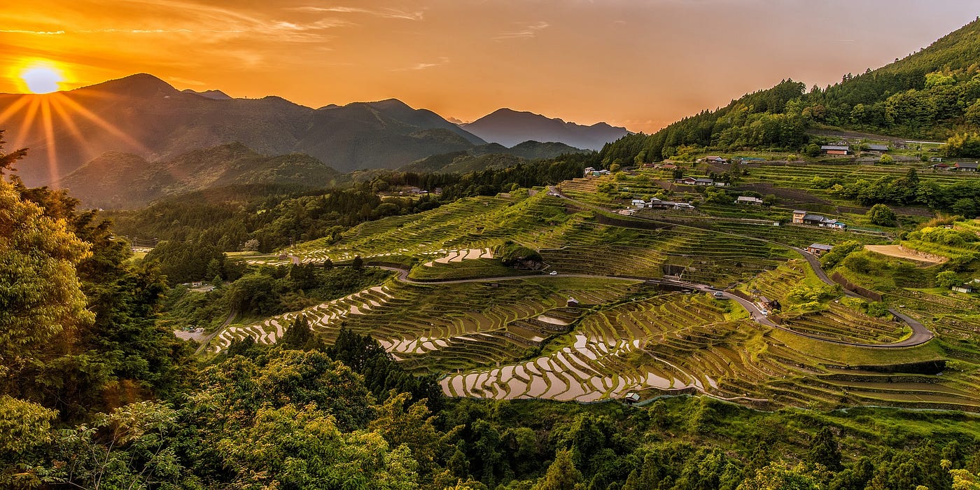 The Regenerative Approach to Sustainable Development Goals
