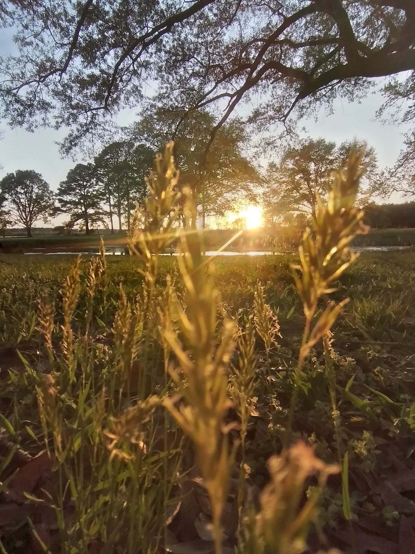 Spreading Light — A Tag Challenge
