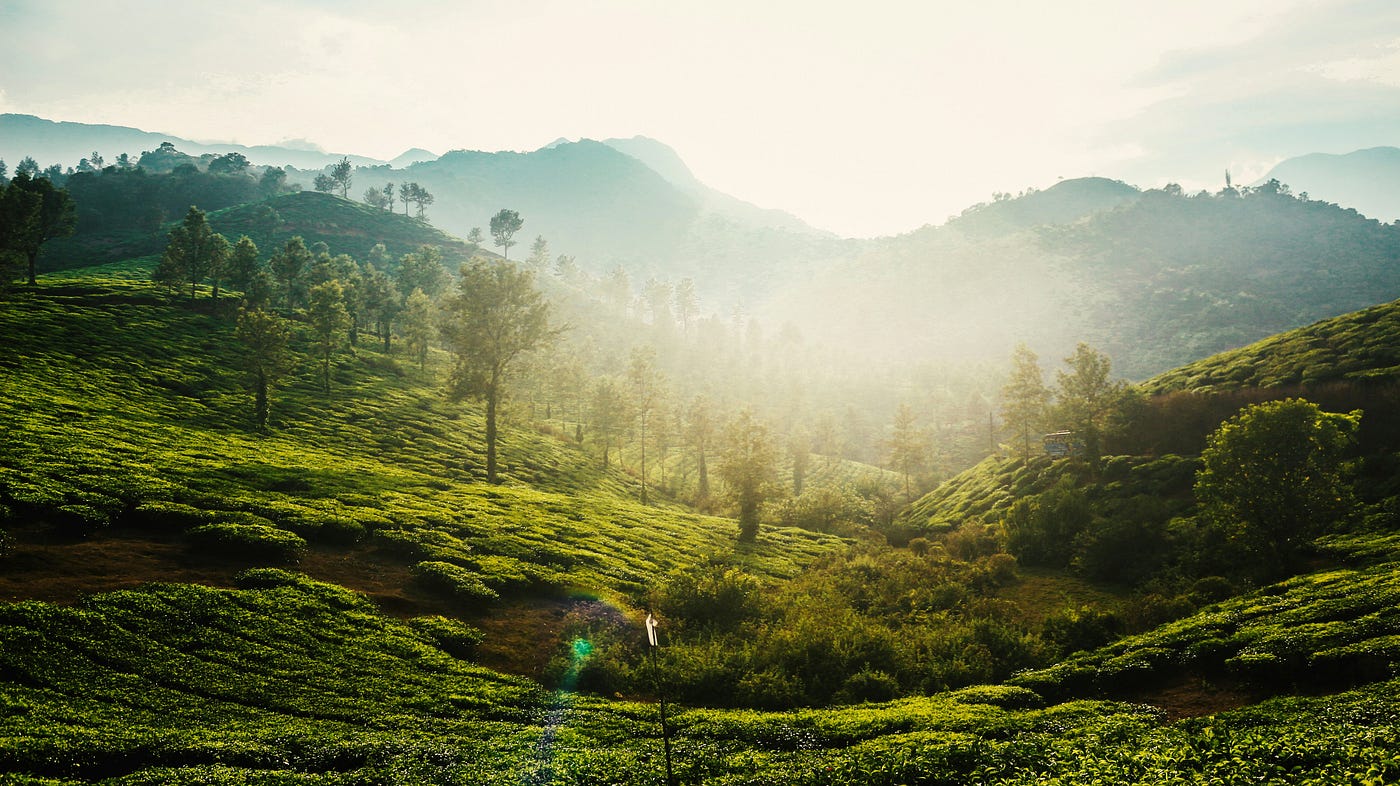 Lost and Found in Wayanad: A Fun and Hilarious Kerala Adventure