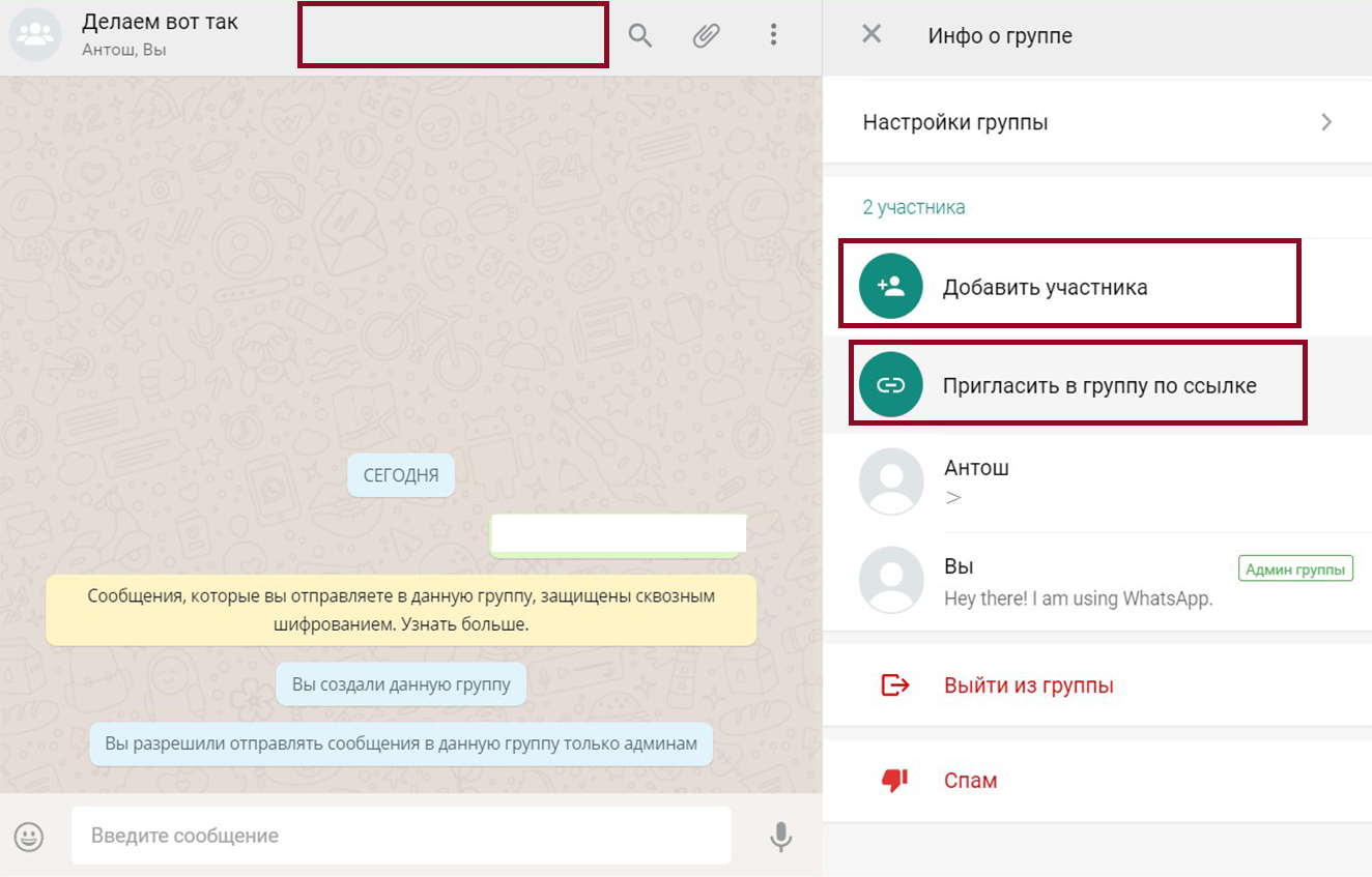 Как создать канал в WhatsApp. Минусы и плюсы | by SVETLANA VAGANOVA | Medium