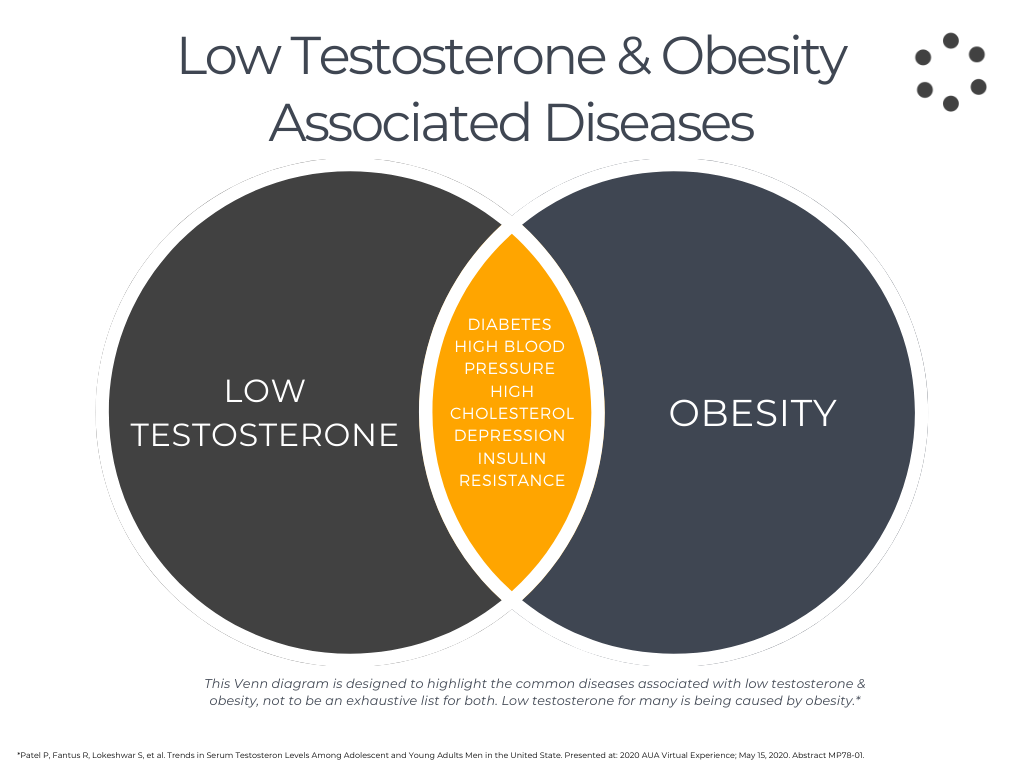 Rethinking testosterone, the scientific case that undermines male power