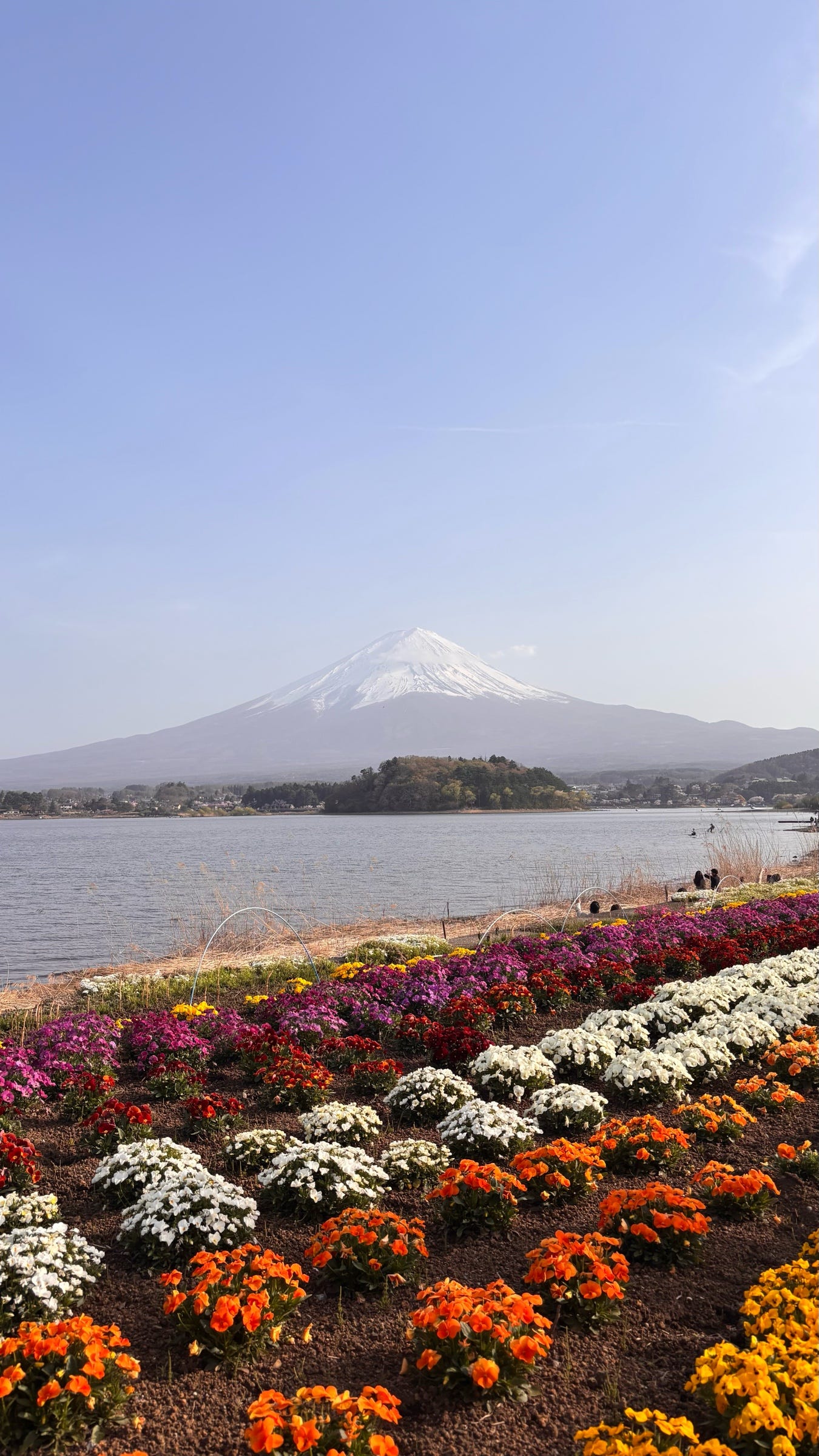 The Theme of the Trip is Melancholy (or So I Thought) | by Aliya Aisyah H |  Medium