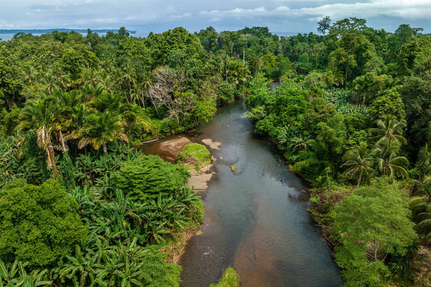 Solomon Islands: Ridge To Reef, Stream To Sea