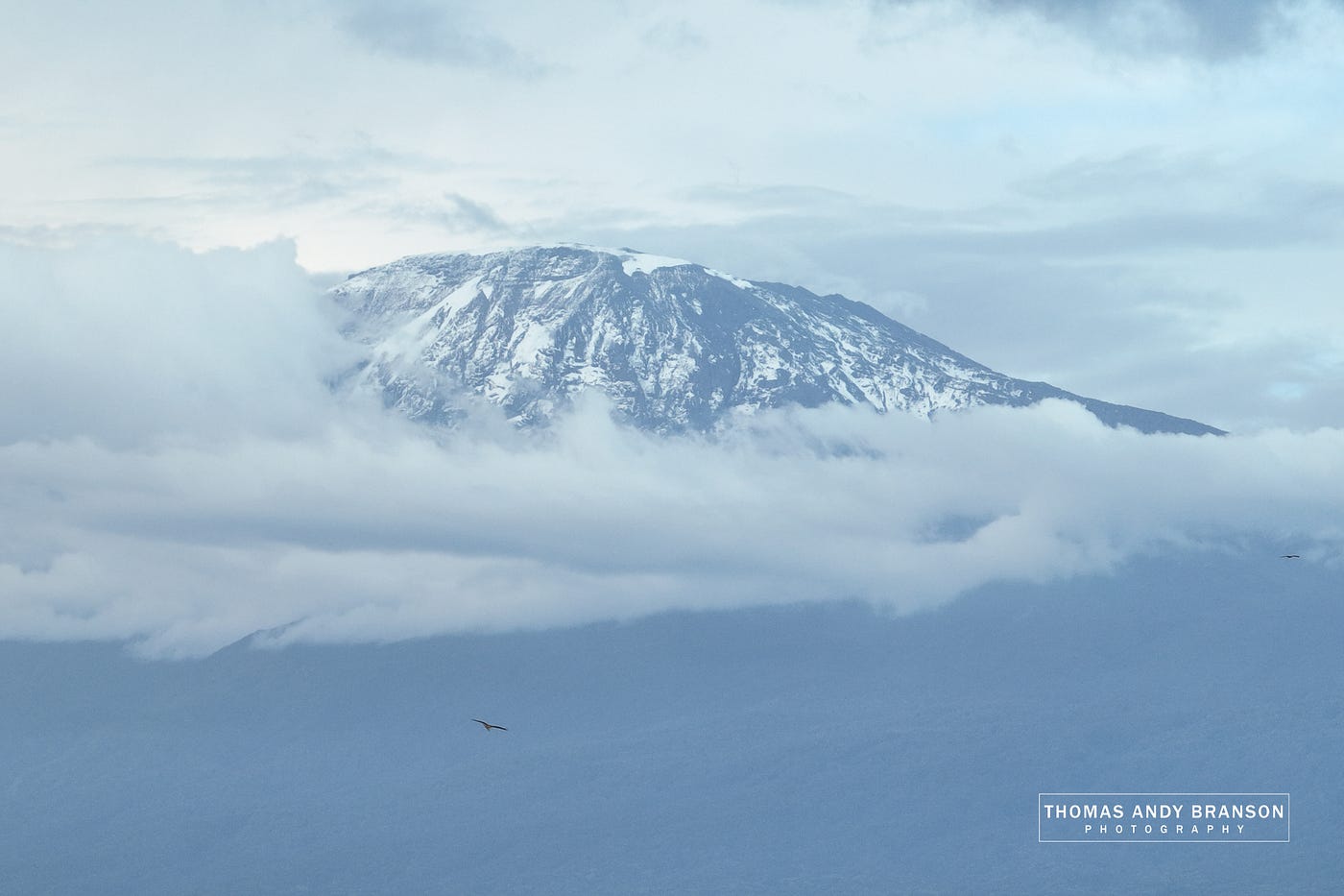 Planinarenje na Kilimandžaro — male grupe uz vodiča i fotografa