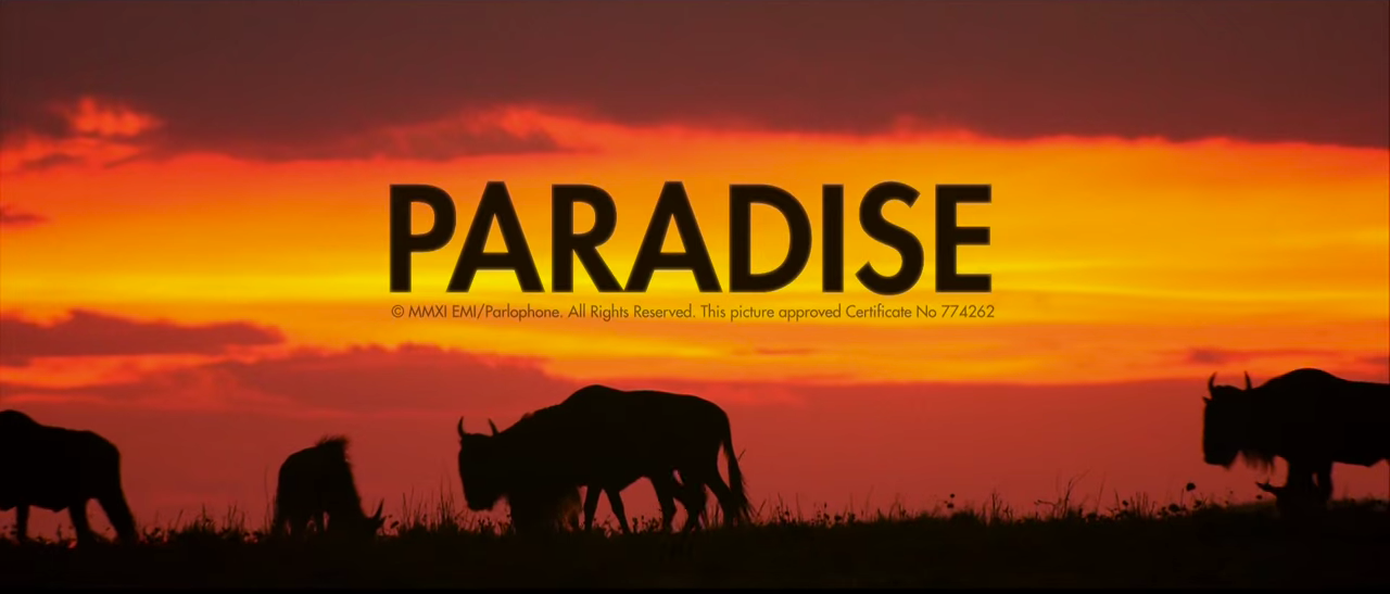 paradise. coldplay.  Coldplay lyrics, Coldplay paradise lyrics, Coldplay  paradise