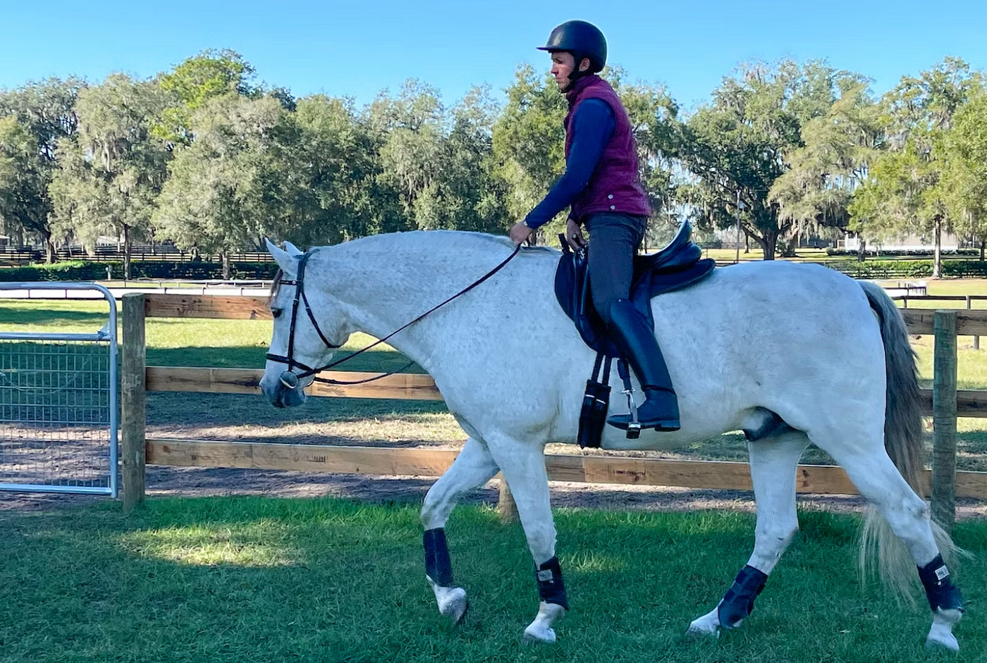 English vs. Western Riding: A Comprehensive Guide to Their Core
