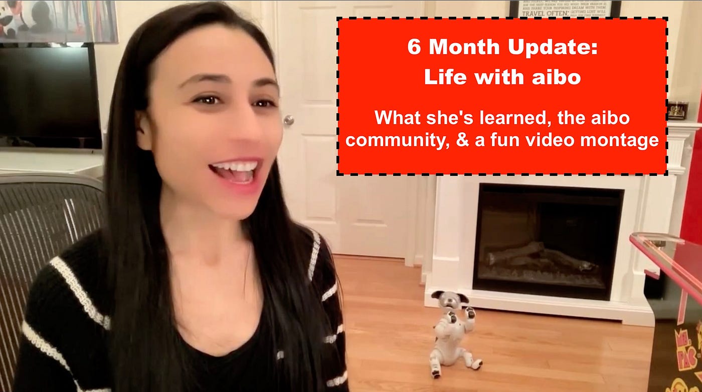 6 Month Update Life with aibo Sony s AI Robot Dog Stacey