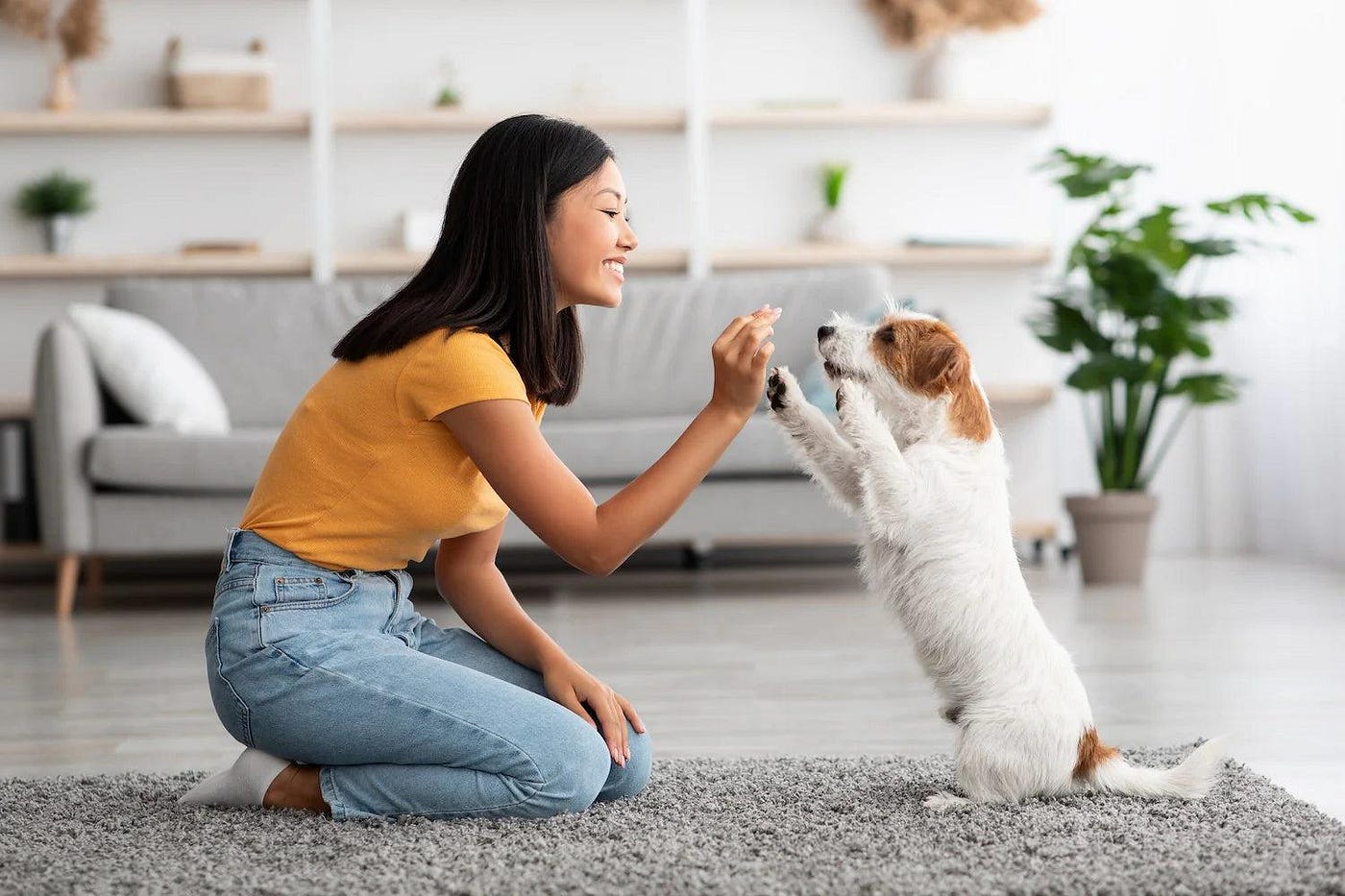 Dog Training Made Simple: How to Raise a Calm, Happy, Well-Behaved Dog