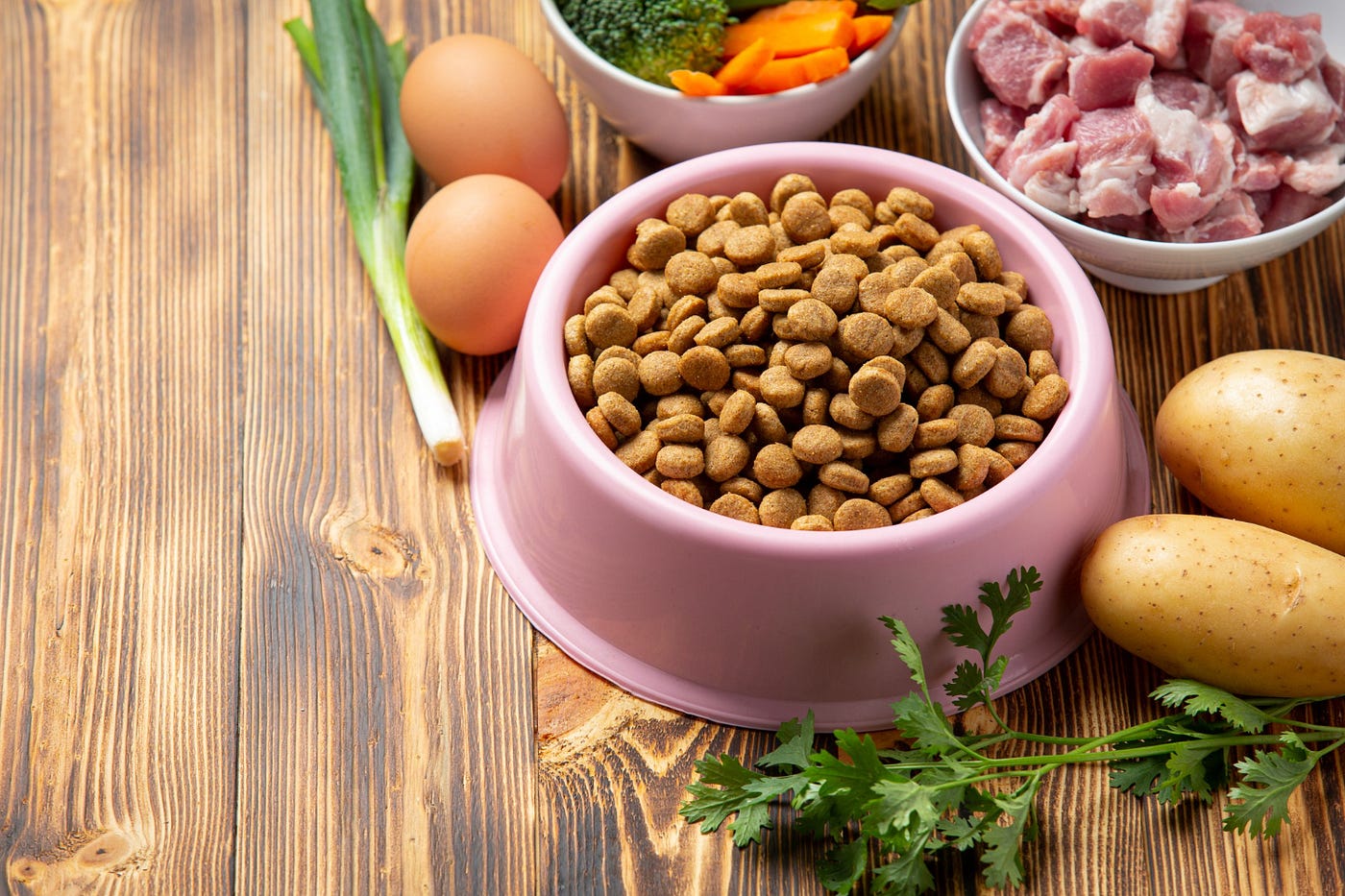 What Is the Best Dog Food for Your Pet? A Complete Nutrition Guide for Indian Dog Parents