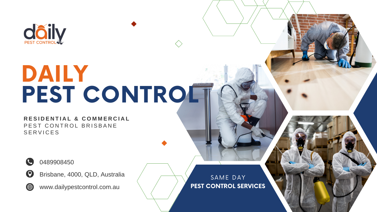 Why You Should Hire A Pest Control Brisbane Company To Keep Your Home &  Property Protected? | by Dailypestcontrolbrisbnae | Medium