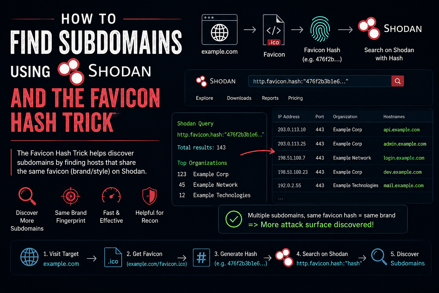 Find Subdomains Using Shodan and the Favicon Hash Trick