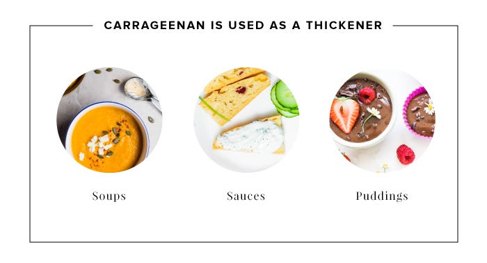 What You're Getting Wrong about Carrageenan, by Edith Marigold Camellia