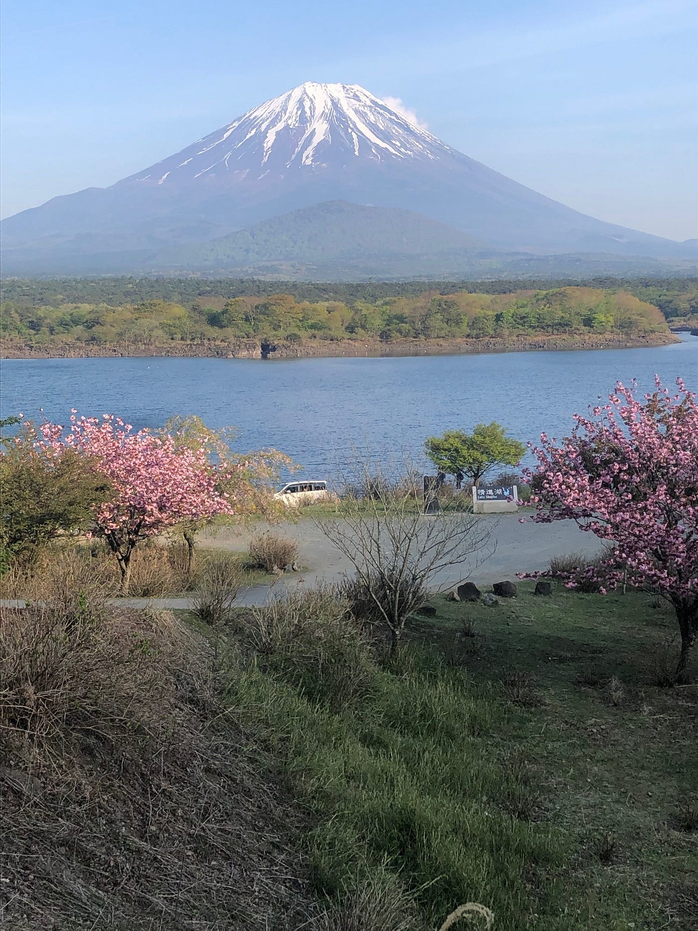 Fuji, Five Lakes, and Flower Festivals