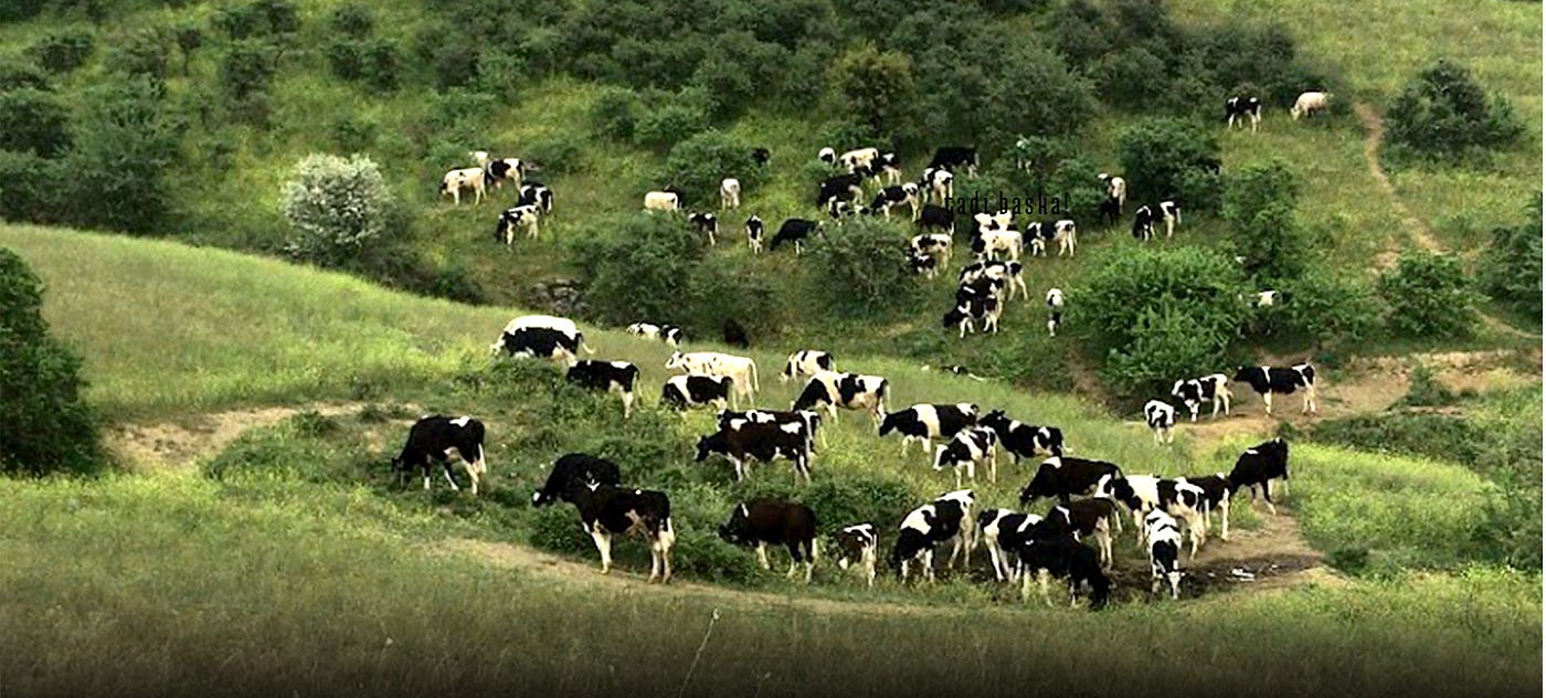 Hakkımızda