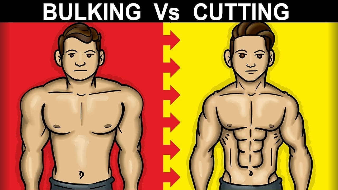 Bulking vs Cutting: Which to Start With & How To - SET FOR SET