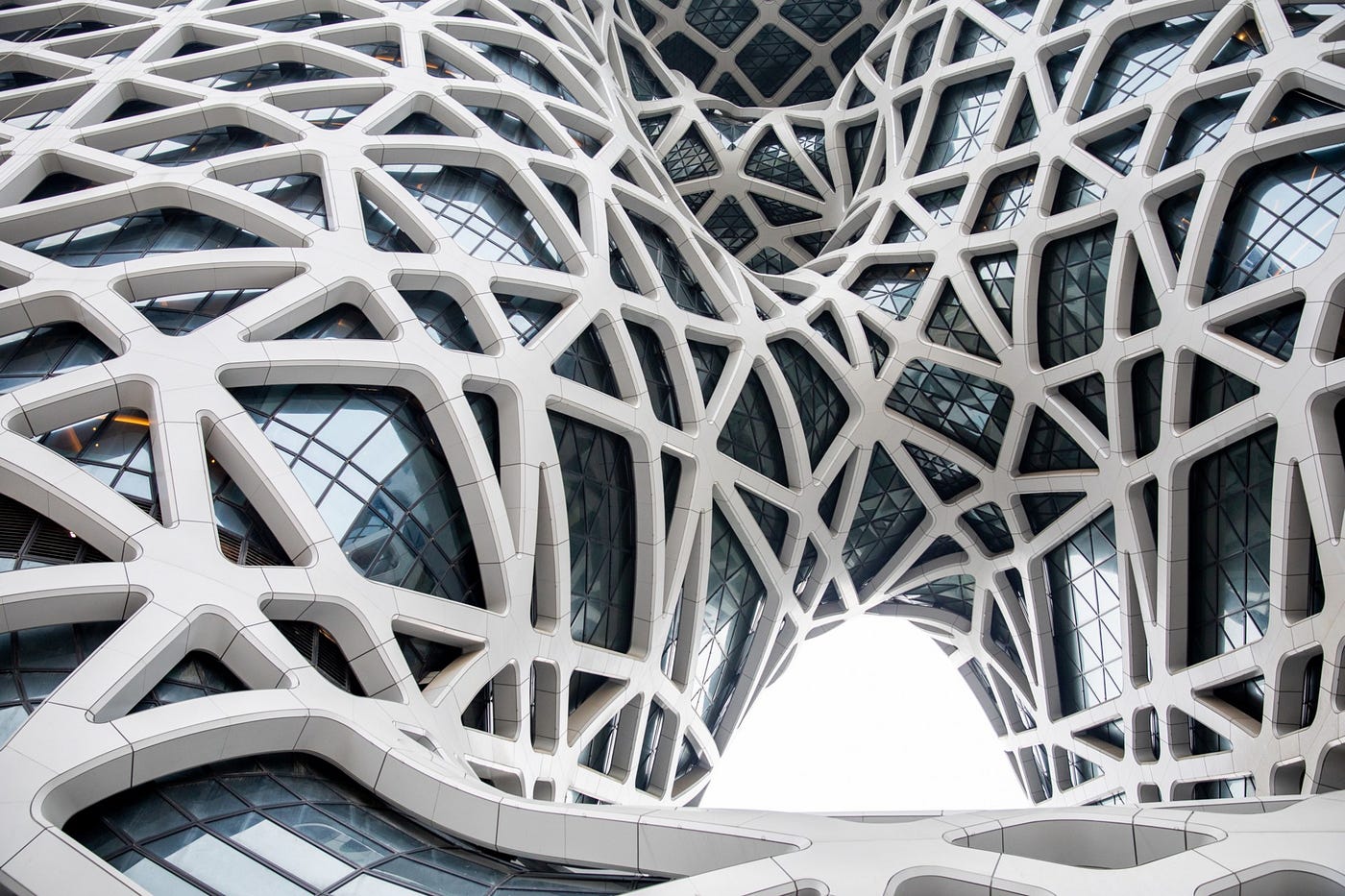 zaha hadid dress design Zaha hadid-morpheus hotel-garment | 3D Model