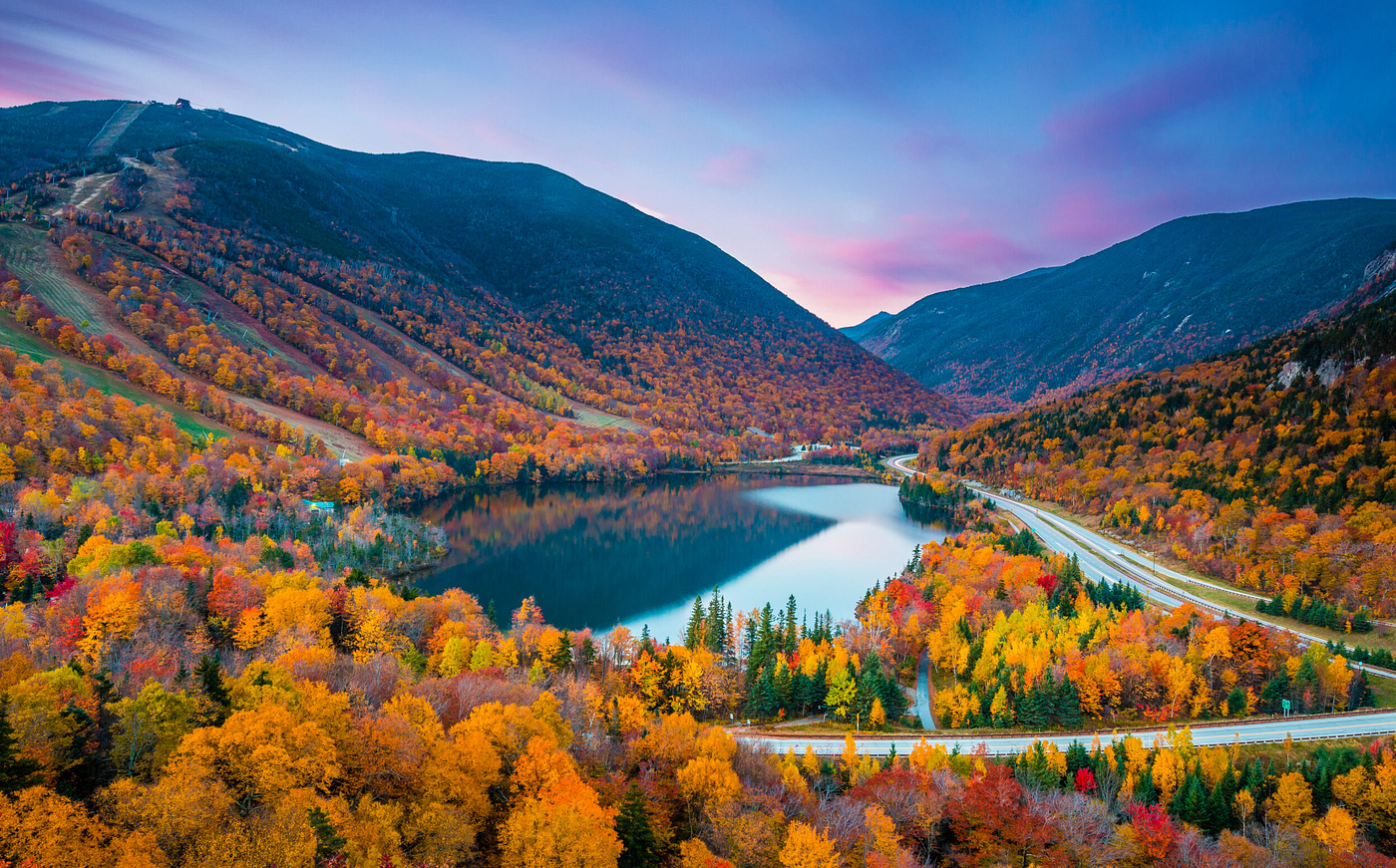 Embracing the Magnificence: Reveling in the Beauty of Our World