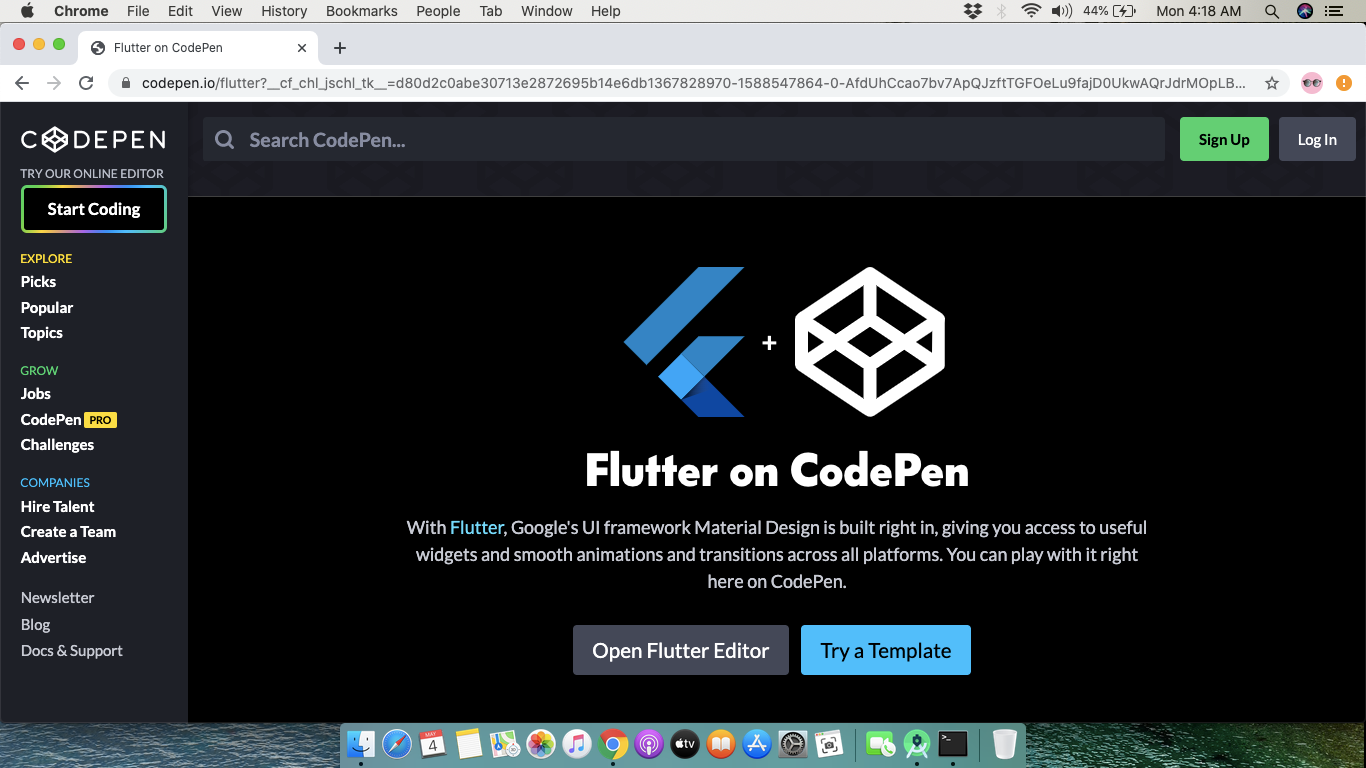 Project Editor – CodePen
