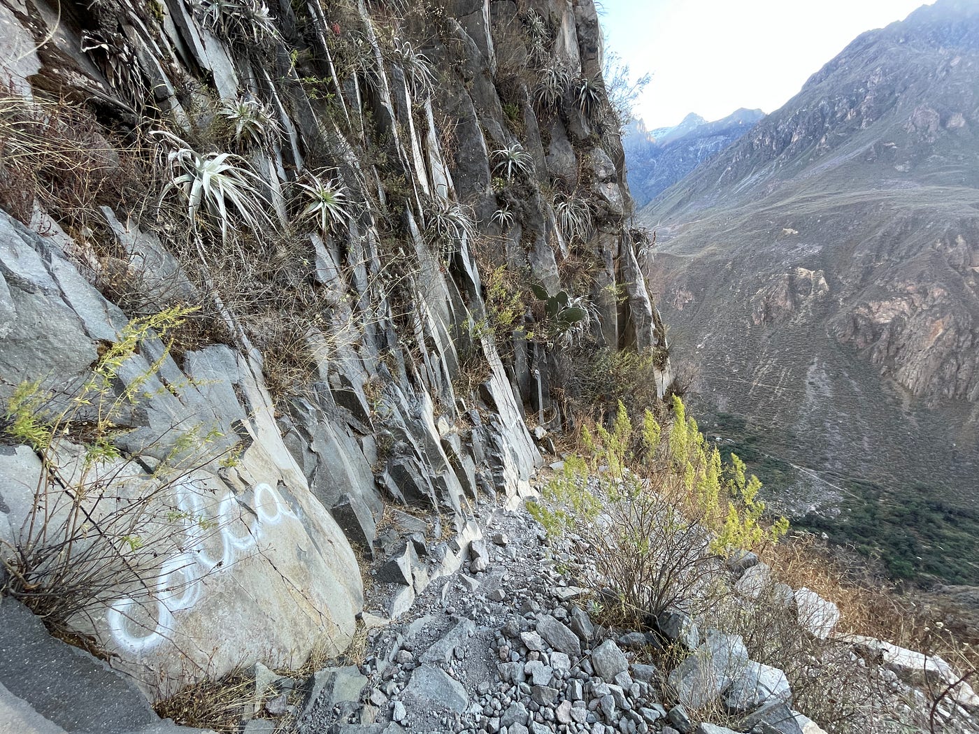 Is Colca Canyon Worth It? Ultimate Guide to The Popular Side Trip From  Arequipa, Peru | by Christina Diaz | Medium