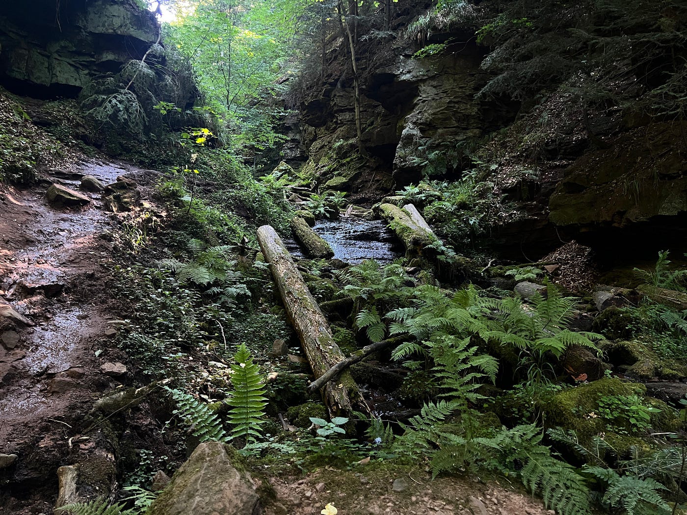 This was surely not my last time visiting this lovely canyon.