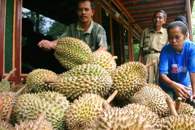 Southeast Asia Durian Paradises. Locations where you find the King