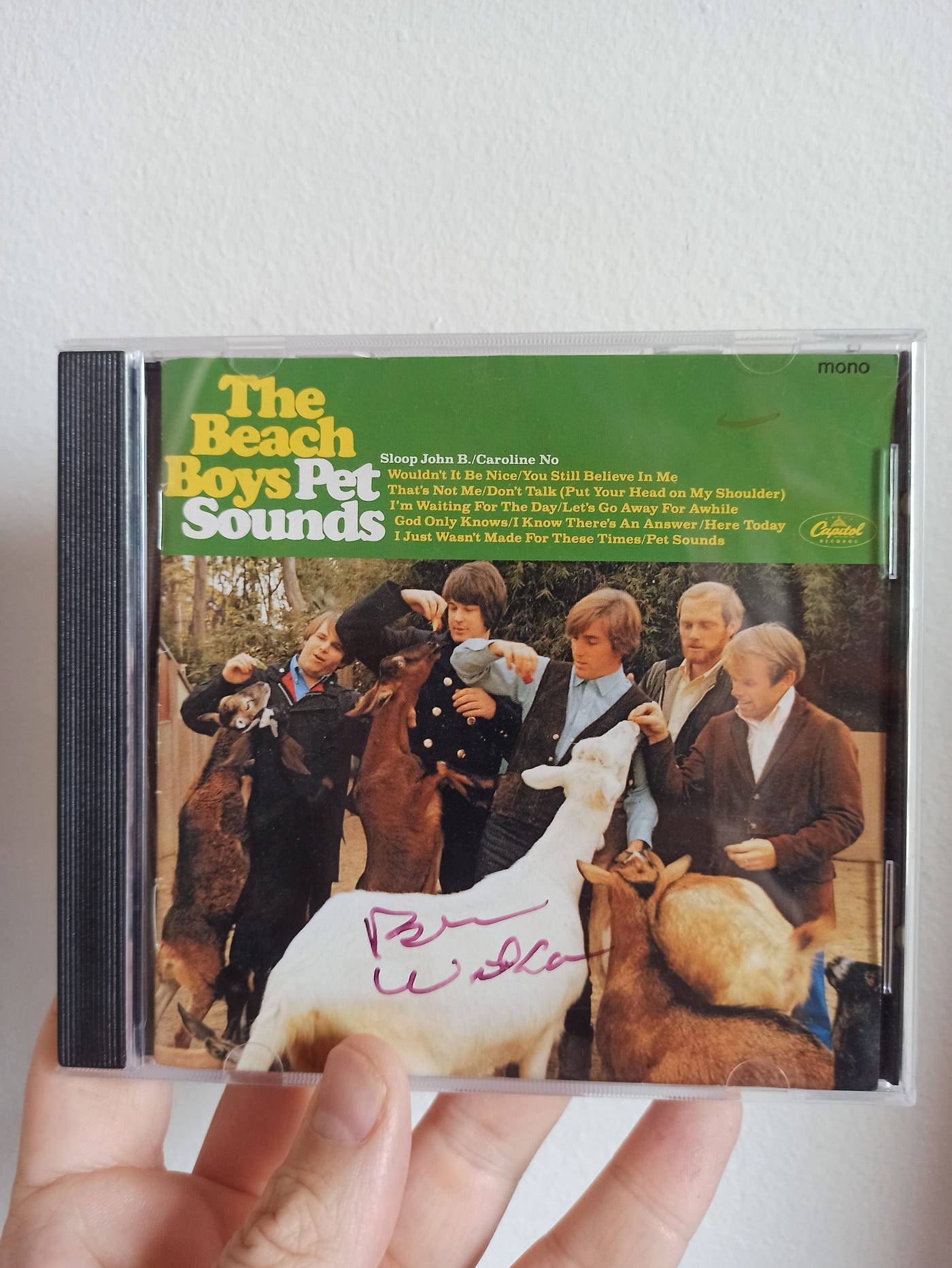 “Pet Sounds” 60 anos: quando passei uma tarde na companhia de Brian Wilson
