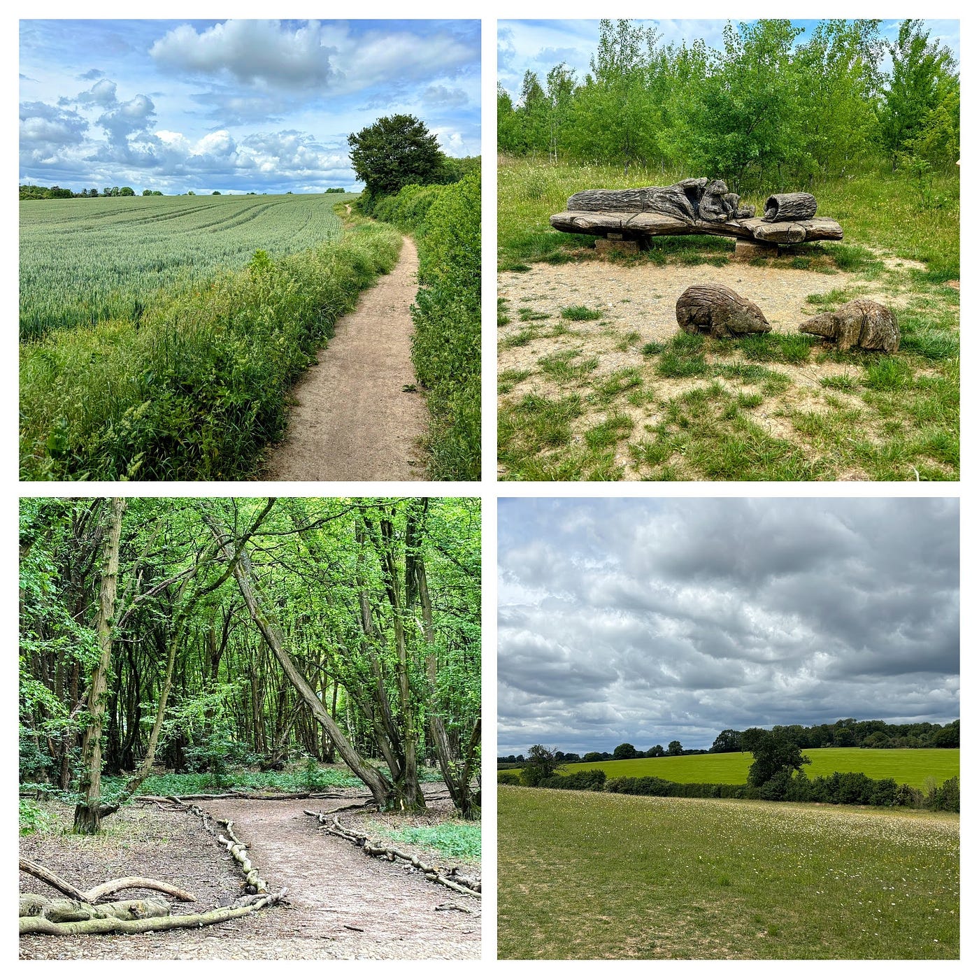 Heartwood Forest, Hertfordshire