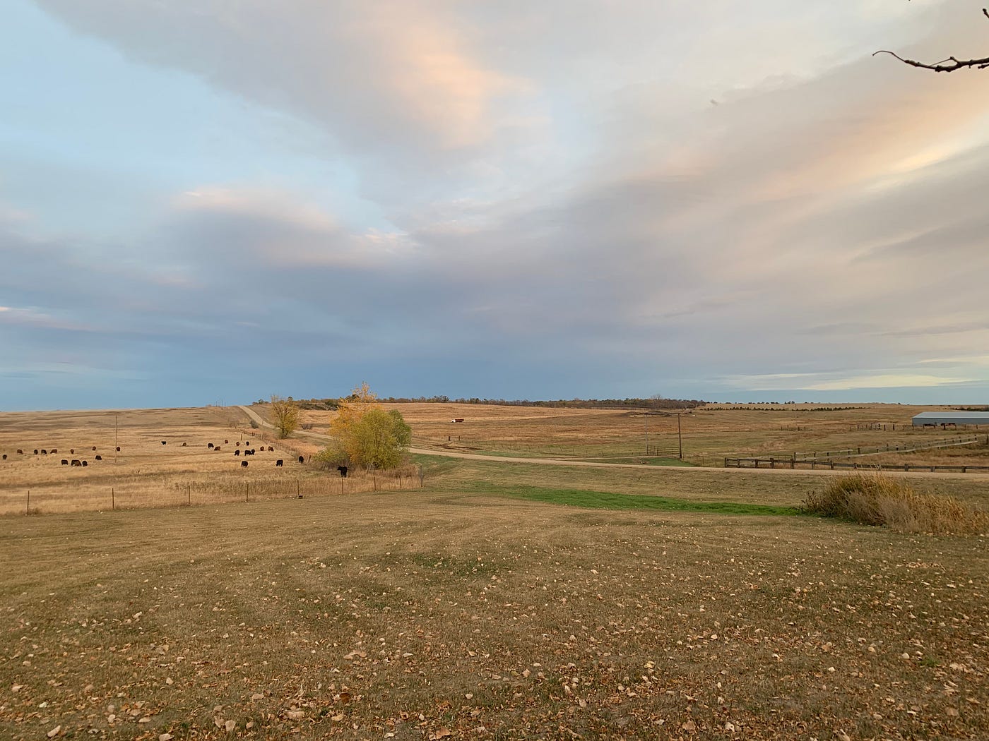 All-In on a North Dakota Combo Bird Hunt