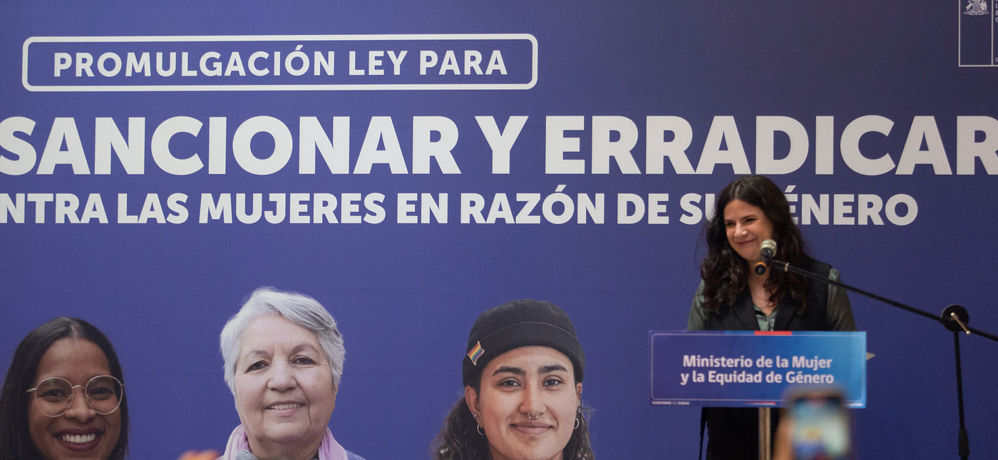 El rol del estado en los casos de Femicidio en Chile