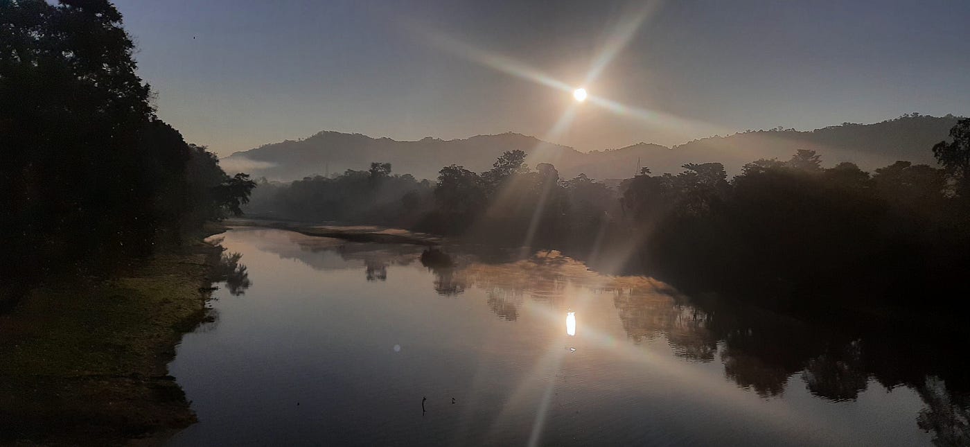 Dawn | Kaziranga, Assam