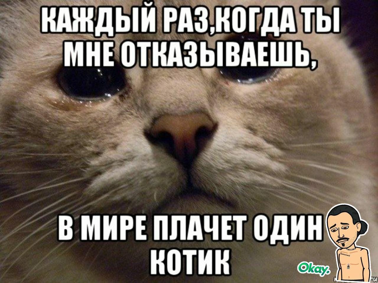 Ну что ты грустишь. Кот Мем. В мире плачет один котик. Мемы с котиками. Мемы про котов.