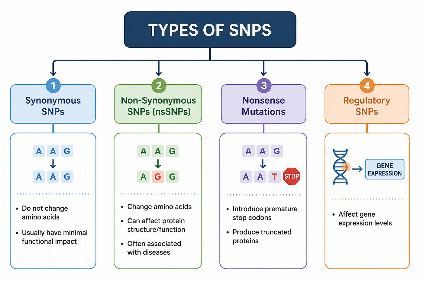 Decoding Harmful Mutations: A Bioinformatics Journey Through nsSNP Analysis
