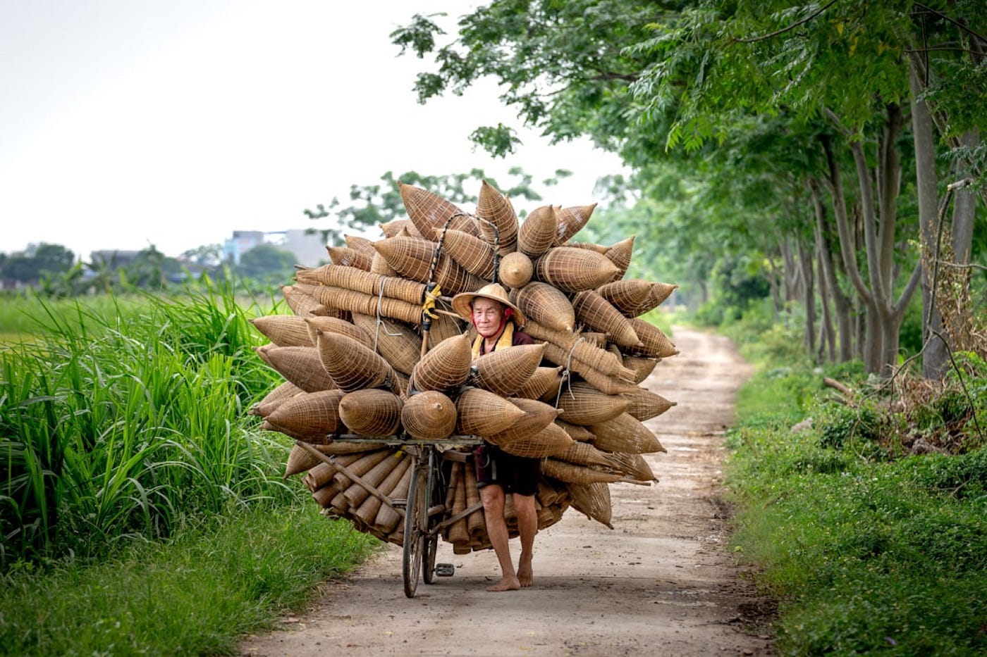 Photo by Quang Nguyen Vinh on Unsplash