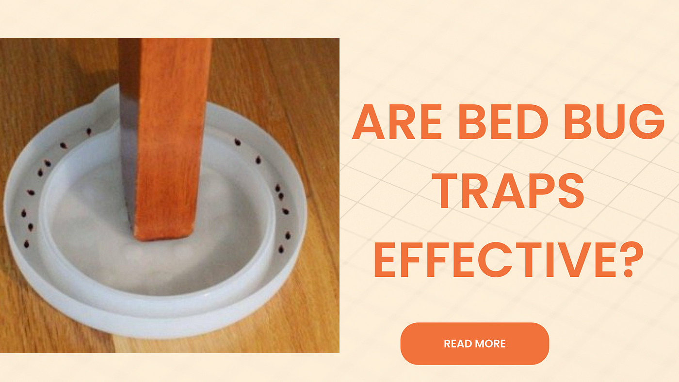 Are Bed Bug Traps Effective in Eliminating Bedbugs?, by Bedbugstoreusa