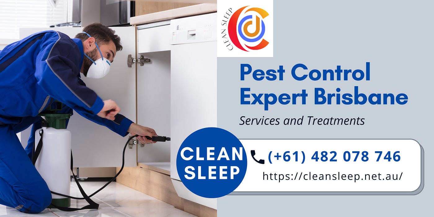 10 Best DIY Methods for Pest Control in Brisbane | by Cleansleep | Medium