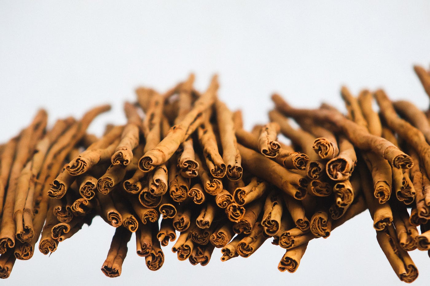 The Spice That Built Empires: A Short History of Ceylon Cinnamon