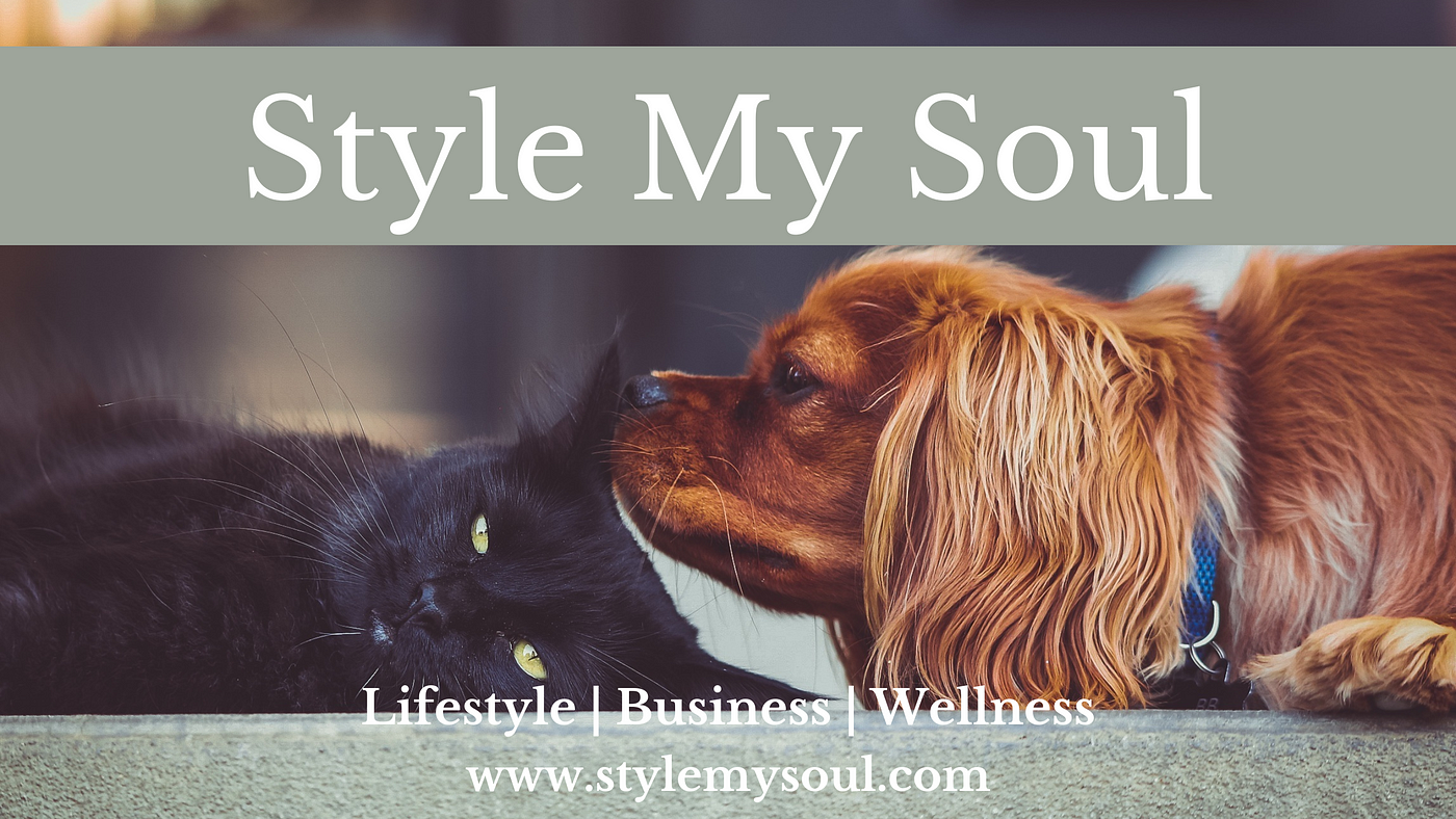 7 Best Pets Recommended for First-Time Owners | by Style My Soul  (StyleMySoul.com) | Medium