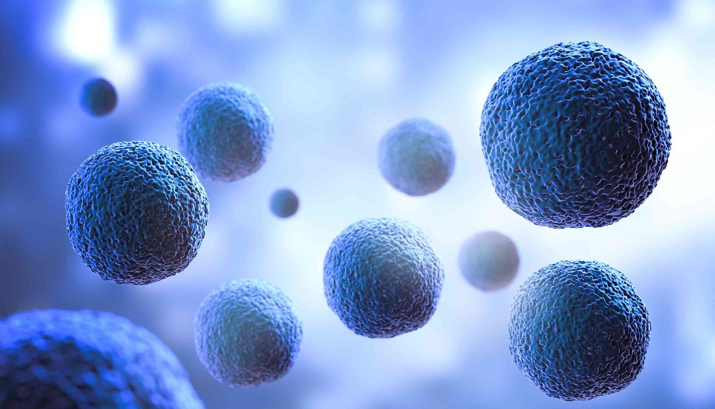 KMD Bioscience-Telomerase Immortalized Cell Line