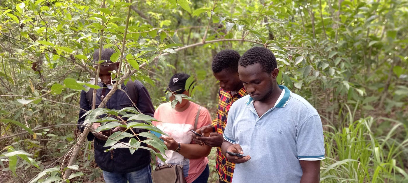 Faranah-Kissidougou: le Programme environnement accompagne la cartographie de 12 forêts…