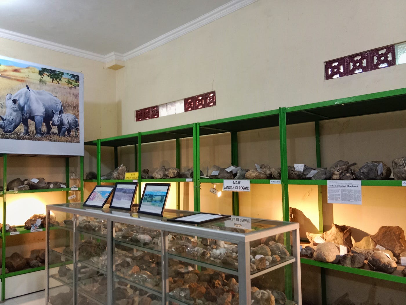 Temuan Fosil Manusia Purba di Bumiayu, Diduga Lebih Tua dari Manusia Purba Sangiran